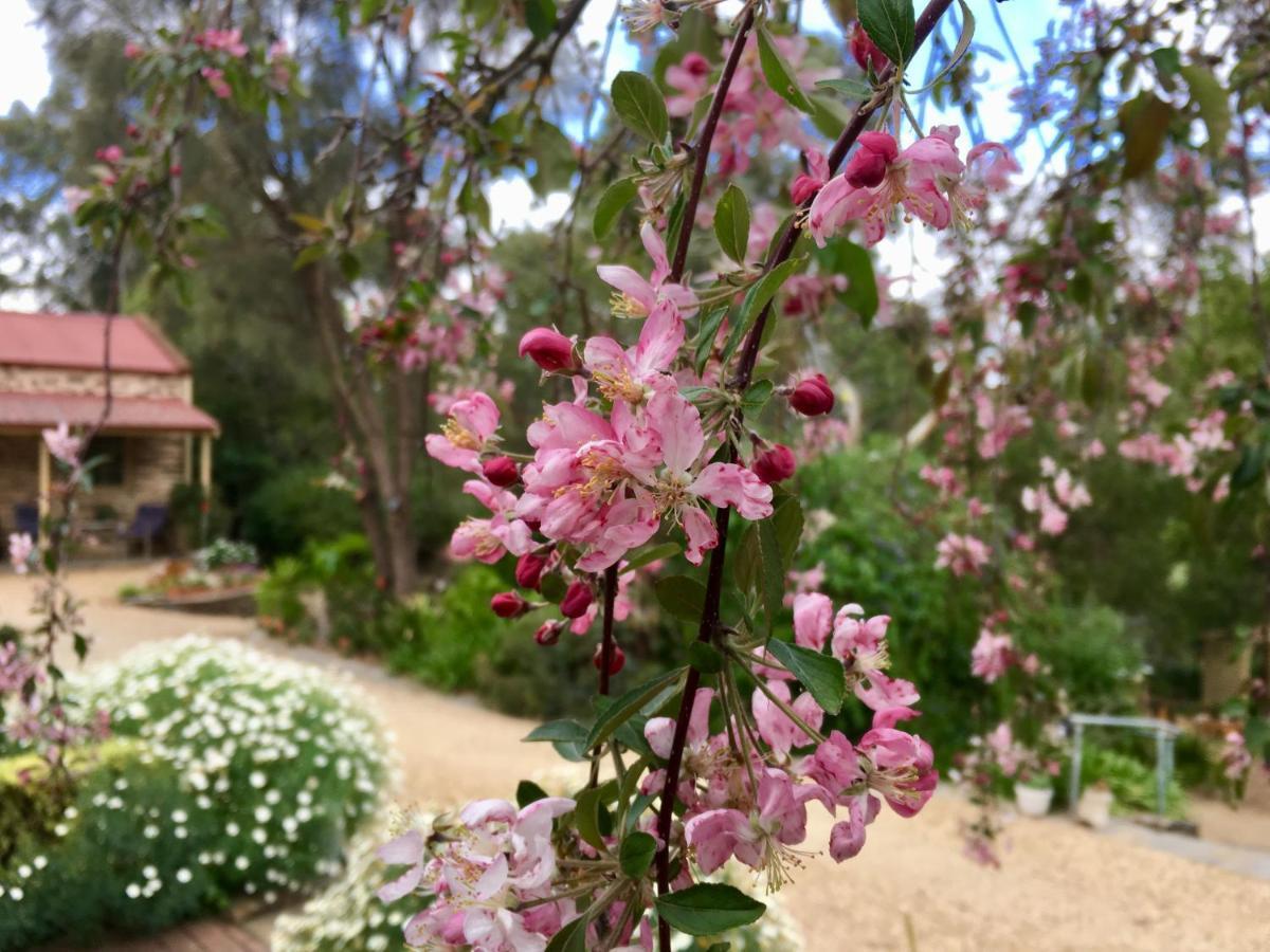 סטרת'לבין Gasworks B&B Cottages מראה חיצוני תמונה